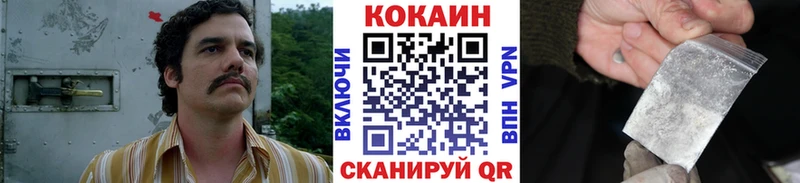 как найти   Туринск  КОКАИН Fish Scale 