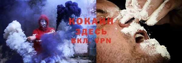 молекула духа Арсеньев