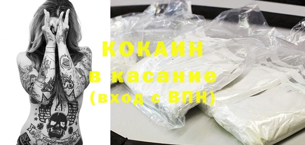 молекула духа Арсеньев