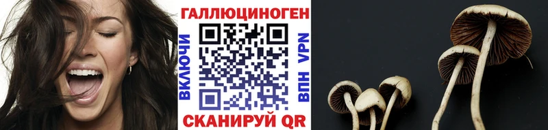 Псилоцибиновые грибы ЛСД даркнет сайт Туринск